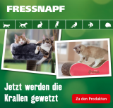 20% Rabatt auf Kratzgegenstände für Katzen bei Fressnapf (nur heute)