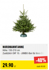 Nur heute: Attraktive Preise auf Weihnachtsbäume bei JUMBO