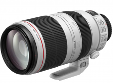 Canon Teleobjektiv, EF 100-400 mm f/4.5-5.6L IS II USM SLR bei Amazon.it