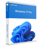Windows 11 Pro ab 20€