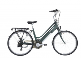 Leopard E-Bike Railway II 26“ grün bei Jumbo (Abholung)