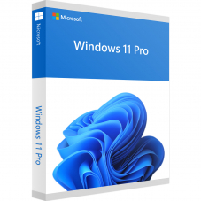 Windows 11 Professional DLC (Drittanbieter)