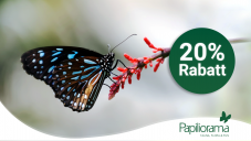 20% Rabatt auf alle Eintrittspreise im Papiliorama Kerzers (Online)