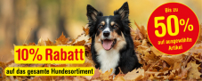 Qualipet: Alles für den Hund bis 50% Rabatt + 10% Zusatzrabatt durch Gutschein