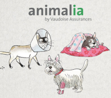 Animalia Tierversicherung mit 25% Rabatt bei QoQa