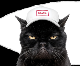 Black Week mit täglich neuen Deals bei Brack