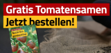 Gratis Bio-Tomatensamen zum Bestellen