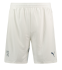 Puma Schweiz Away Replica Herren Short EM 2024 in der Farbe Weiss bei Ochsner Sport