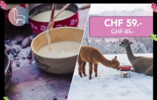 Alpaka-Erlebnis & Fondue Wertgutschein bei DeinDeal