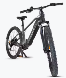UB300B Mountain E-Bike bis zu 140 km, grau, 29″
