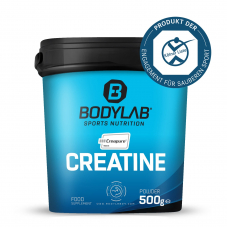 1 kg Creatin Creapure für CHF 31.92 bei Bodylab24