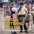 Olma Ostwind Pass