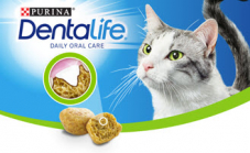 Gratismuster von Purina Dentalife bestellen