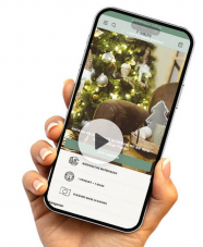 Daydeal - Gutscheincode im Wert von CHF 100.– NIKIN für 80.-