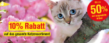 Qualipet: 10% Rabatt auf das ganze Katzensortiment + gratis Goodies ab MBW CHF 20.-
