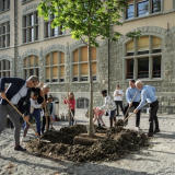 [Lokal] Gratis Baumpflanzung in St.Gallen