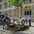 [Lokal] Gratis Baumpflanzung in St.Gallen