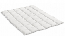 BLICK DEAL DER WOCHE - Ganzjahres-Daunenduvet  Albis Arven 500 (160×210) - 5 Jahre Garantie!