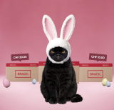 Brack 20.- Franken Rabatt ab 200.- Franken