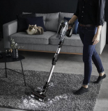 DAYDEAL WOCHENDEAL - Akku-Stielsauger Rowenta X-Force Flex 14.60 Animal