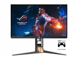 Piratenpreis - Monitor ROG Swift PG259QN (24″, 360Hz, G-Sync)