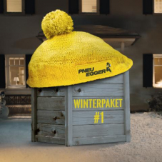 Kostenloser Wintercheck bei Pneu Egger