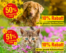 Qualipet: 10% Rabatt auf das Katzen- & Hundesortiment, bis zu 50% Rabatt auf ausgewählte Artikel