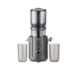 Trisa Entsafter Slow Flow Juice Anthrazit bei Nettoshop zum neuen Bestpreis!