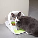 SureFeed Mikrochip-Futterautomat für Katzen