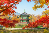 Flüge von Zürich nach Seoul im Mai und Juni für 550 CHF