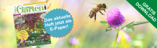 Gratis „Mein schöner Garten“ als E-Paper