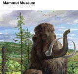 Mammut Museum Niederweningen – Gratiseintritt an Sonntagen im Juli und August 2023