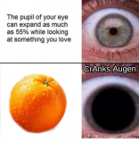 Sammeldeal – Früchte & Gemüse Deals bei Aldi, Lidl, Coop, Migros und Denner – KW3