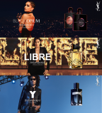 Diverse YSL Parfums bei parfumdreams (z.B. Libre, Black Opium, Y) & 1 Jahr lang gratis Premium-Benefits – nur bis 20.05.!