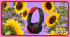 Philips Solarbetriebene On-Ear-Kopfhörer 6000 Series