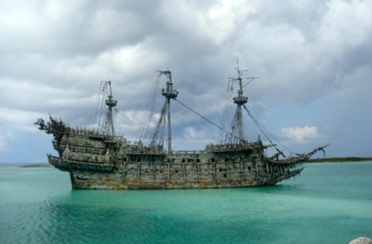 Das Dutzend ist voll