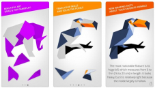 iOS Game Cardinal Land geometrisches Puzzle gratis statt CHF 2.90