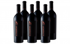 6 Flaschen Toscana Il Chiarone Governo IGT (2018) Rotwein bei DayDeal