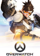 Overwatch Standard-Edition (PC Download-Code)
