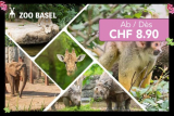 Zoo Basel Tageseintritt für Erwachsene und Kinder