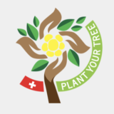 Baum kostenlos pflanzen, CO2 Fussabdruck zu reduzieren inkl. Zertifikat