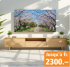 TV-Aktion bei Fust – Jetzt bis zu CHF 2300.- sparen!