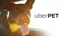 15.- Rabatt mit UberPet Gutschein