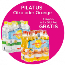 Gratis - 1 Sixpack Pilatus Citro oder Pilatus Orange (6x50cl) bei Rio Getränkemarkt für Newsletter-Abonnenten