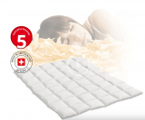 Blick Wochendeal – Ganzjahresdaunenduvet Albis Arven 500 (160×210) CHF 199 statt CHF 299